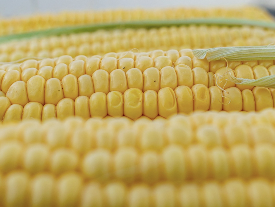 Не стоит ждать высоких цен на пшеницу и кукурузу, этот год покупателя, а не продавца, сказал гендиректор аналитической компании «ПроЗерно» Владимир Петриченко…