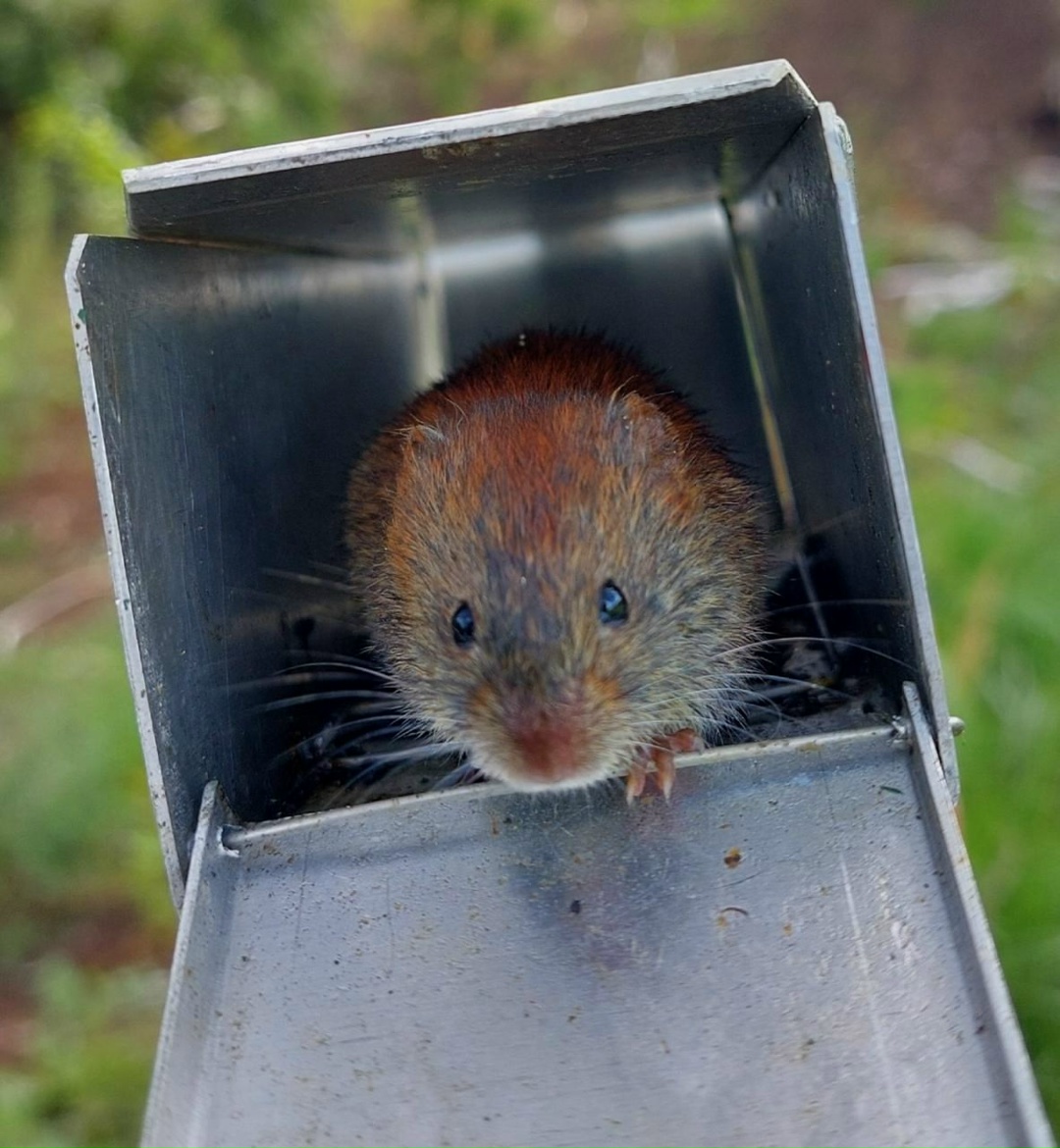 Флору и фауну вокруг Амурского ГПЗ оценили ученые Сибирского отделения РАН