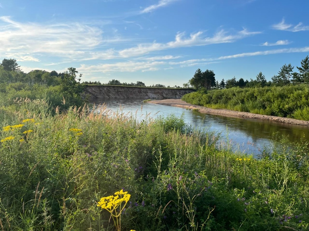 Флору и фауну вокруг Амурского ГПЗ оценили ученые Сибирского отделения РАН