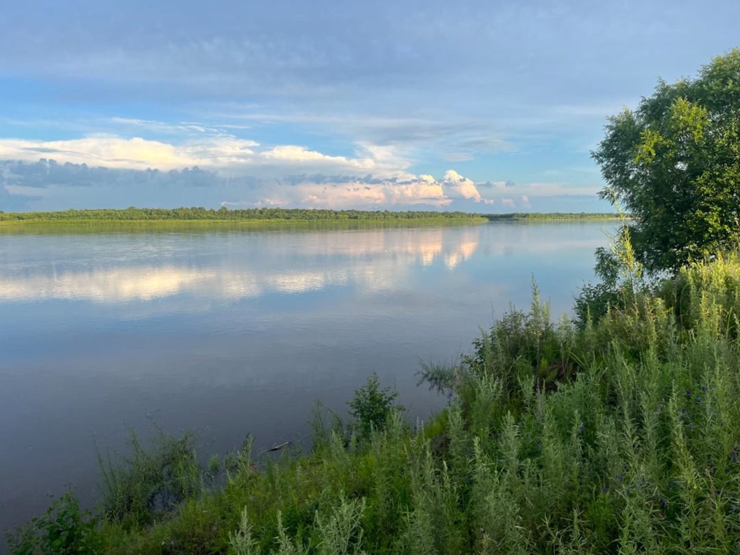 Флору и фауну вокруг Амурского ГПЗ оценили ученые Сибирского отделения РАН