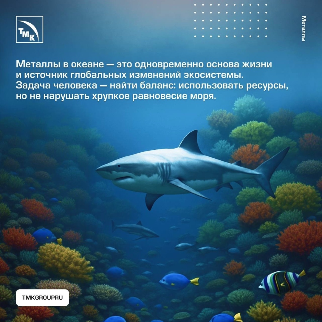 Мировой океан — это не только источник воды, но и огромный резервуар химических элементов, включая металлы