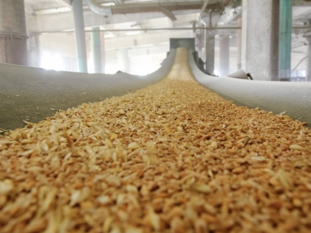 Экспортный потенциал «большого Юга» по пшенице в этом сезоне оценивается в 24,5 млн т - это около 55% от всего экспортного потенциала, сказал в ходе…