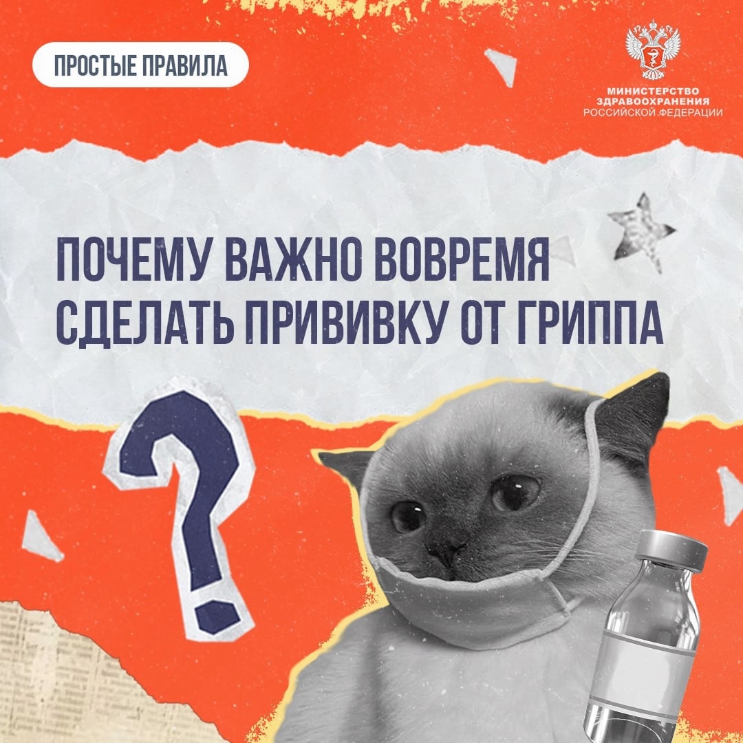 #ПростыеПравила: Почему важно вовремя сделать прививку от гриппа