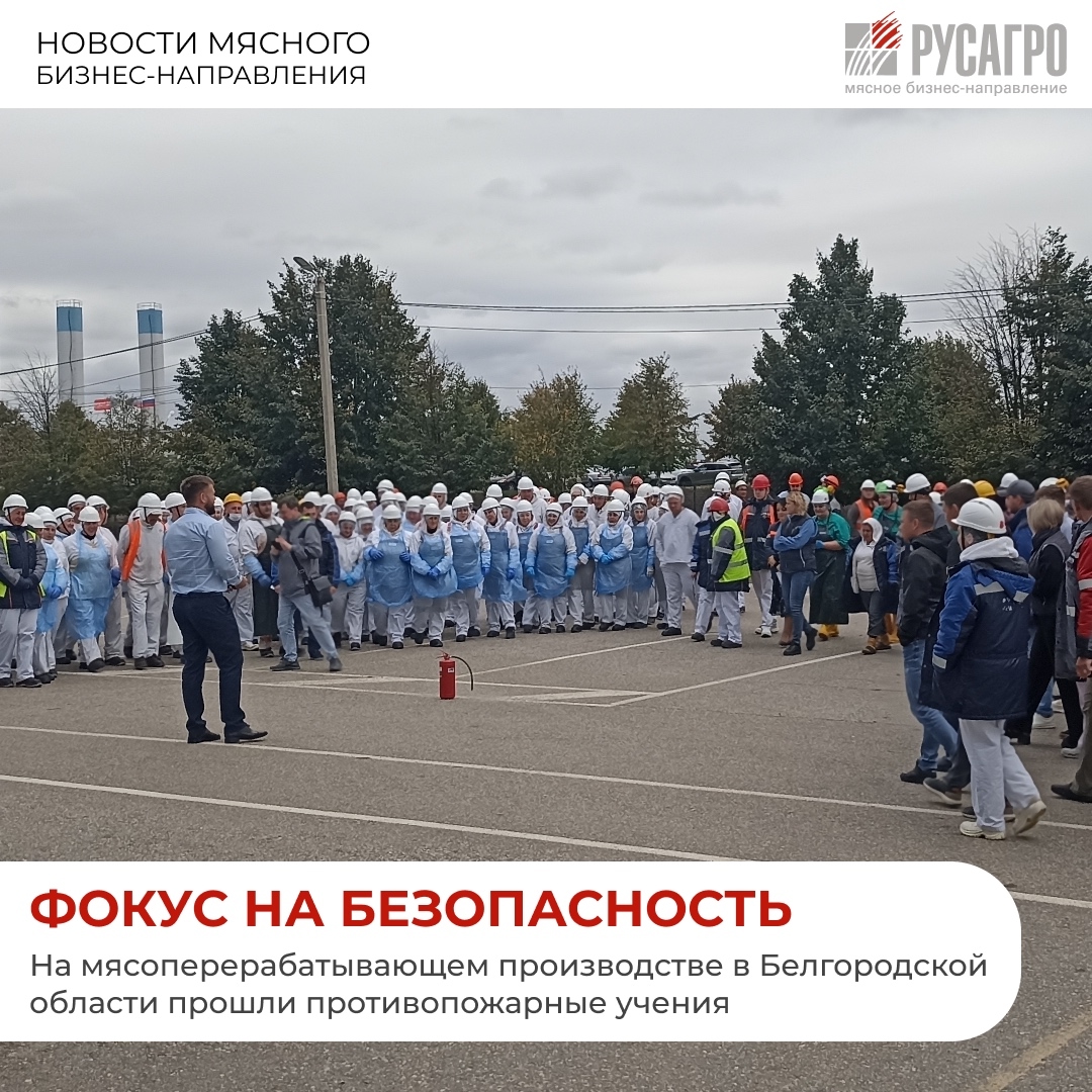 В Мясном бизнесе «Русагро» безопасность сотрудников превыше всего