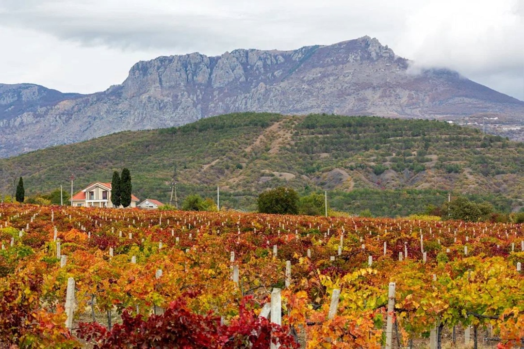 Дмитрий Чернышенко поздравил россиян с Днем туризма.