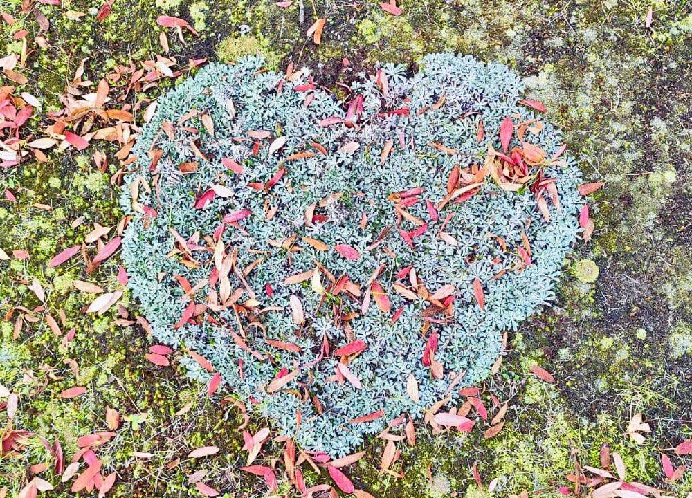 «Из Когалыма с любовью для коллег и подписчиков Телеграм-канала ЛУКОЙЛа» — сердечно подписали нефтяники Западной Сибири фото, которое нам прислали.