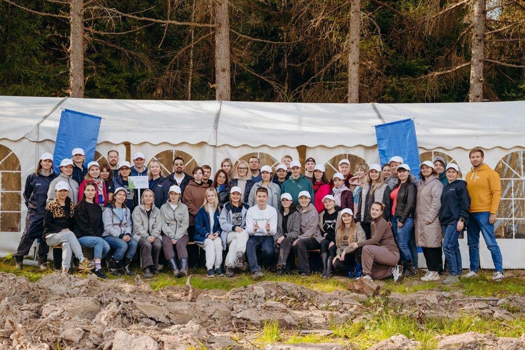 Командная работа: сосновый лес для Подмосковья