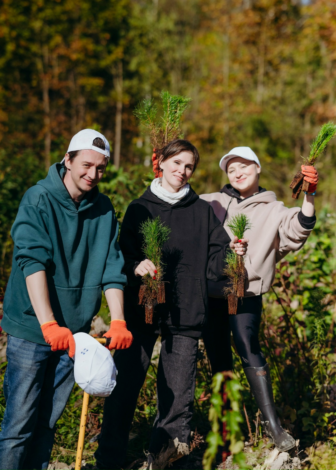 Командная работа: сосновый лес для Подмосковья