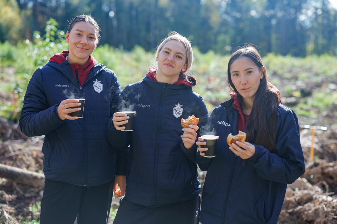 Командная работа: сосновый лес для Подмосковья