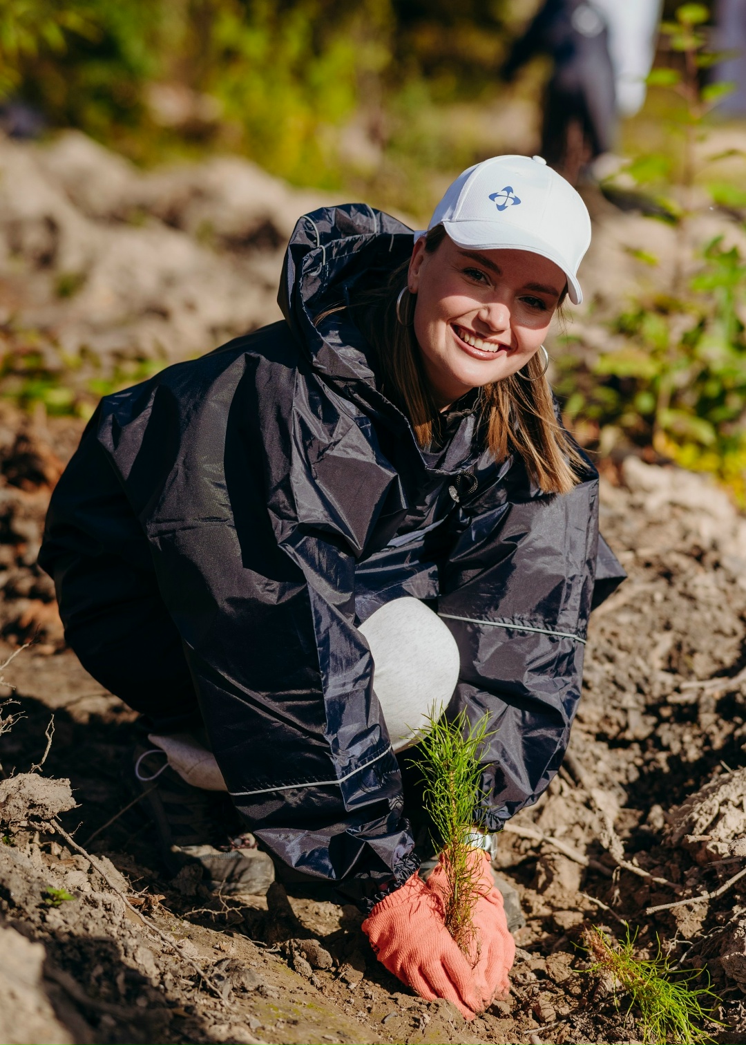 Командная работа: сосновый лес для Подмосковья