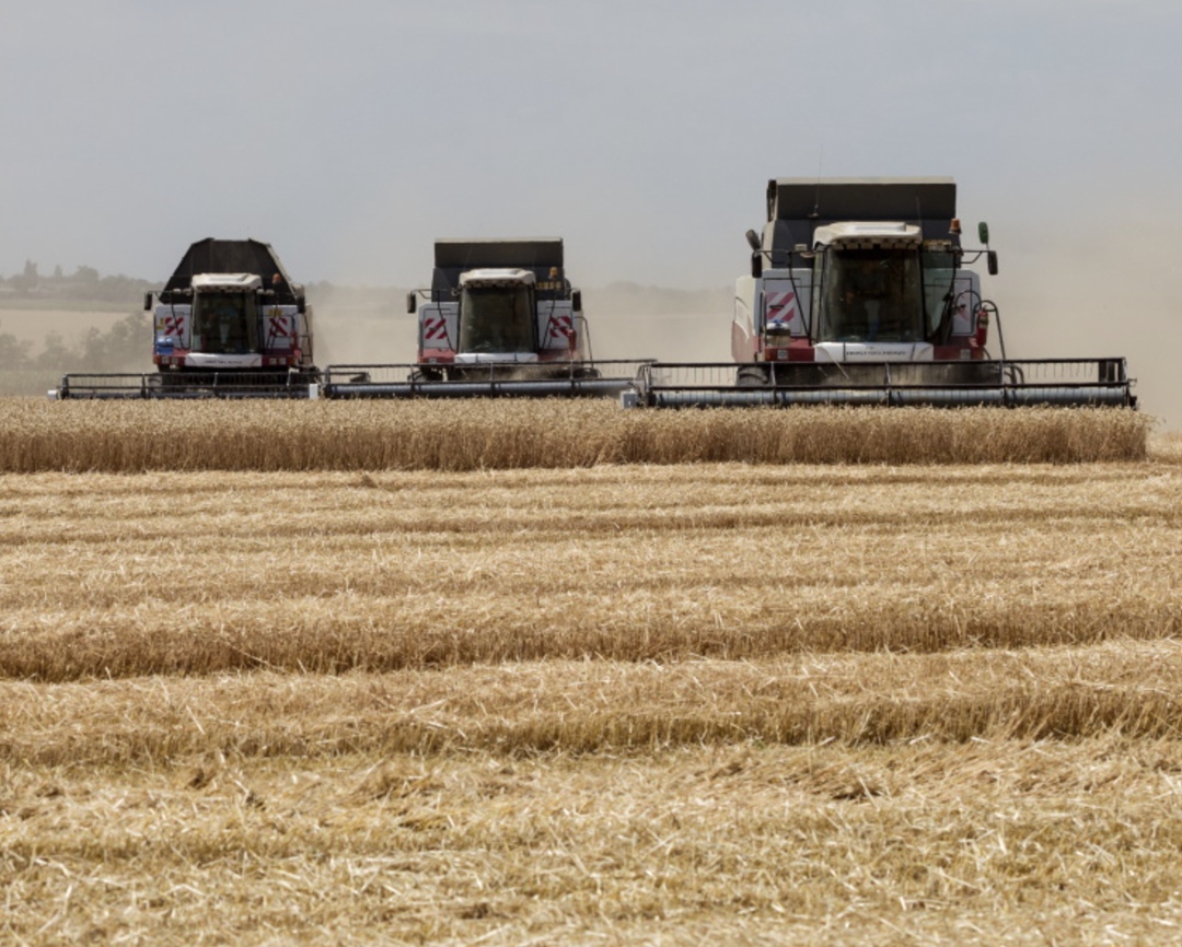 Финансирование госпрограммы развития сельского хозяйства в 2026 году запланировано на уровне 290,7 млрд руб., в 2027 году - 308,5 млрд руб., в 2028-м - 338,6…