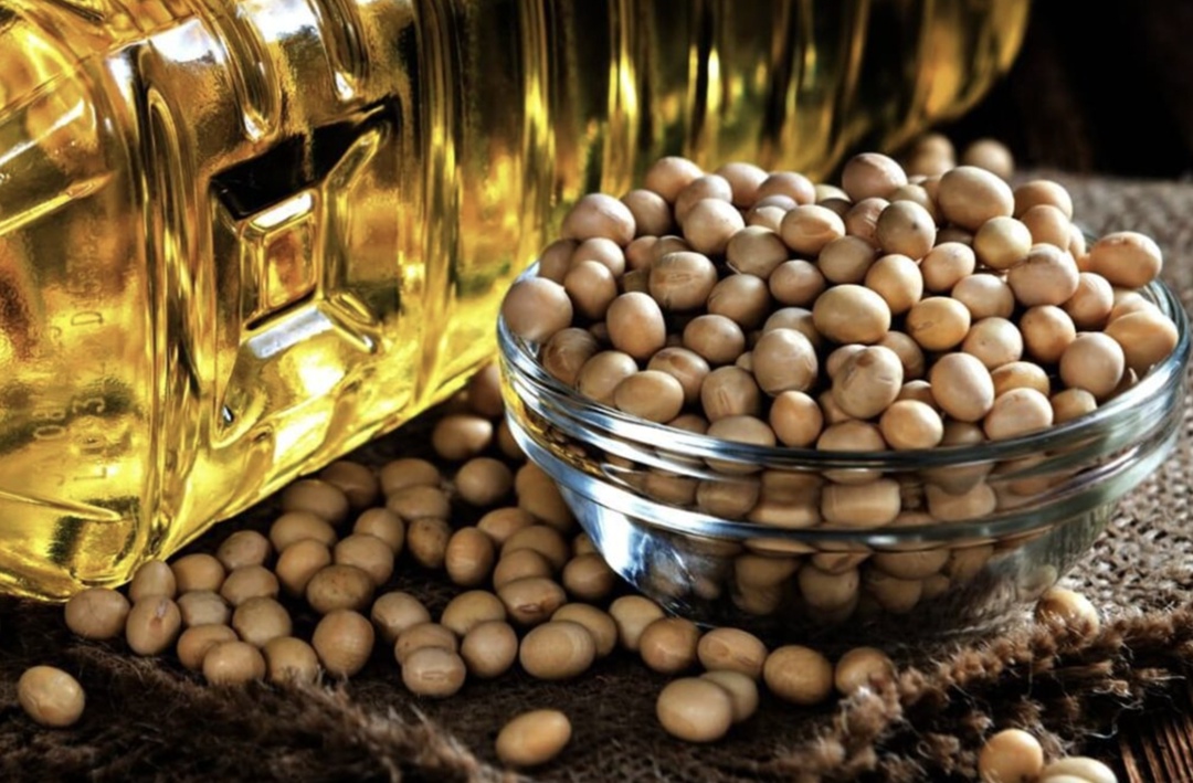 «Мираторг» подписал рамочный контракт на один год на поставку соевого масла в Чили и отправил первые пробные контейнеры общей массой 44 т, сообщил федеральный…