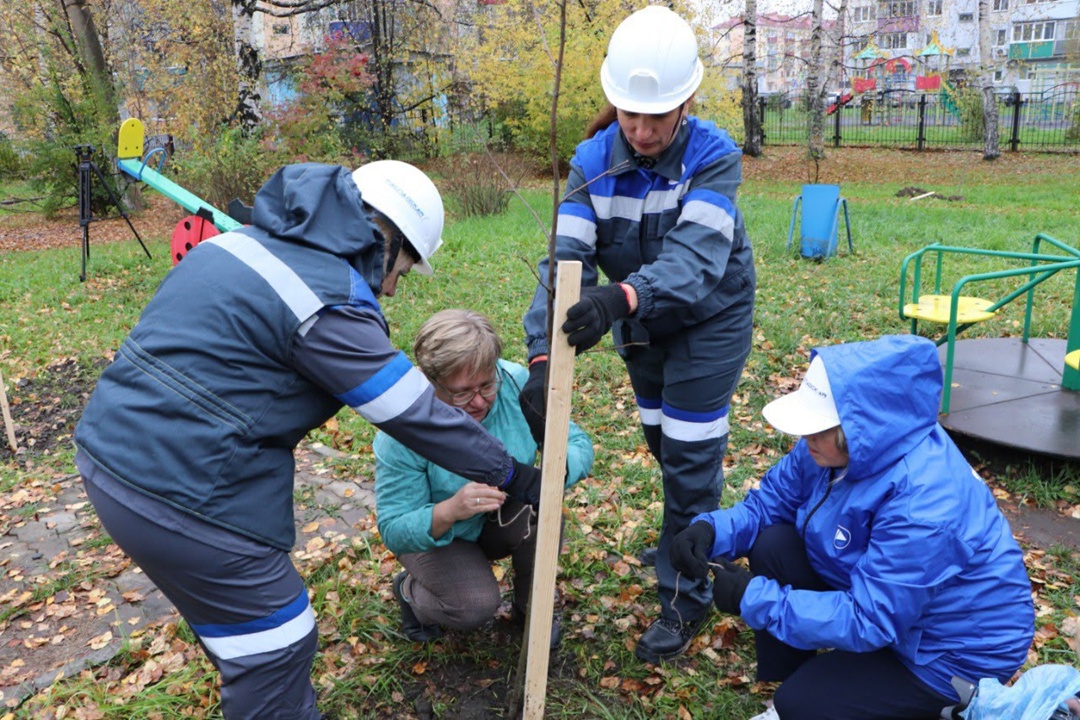 Наши яблони и рябинки! Мы продолжаем осенние посадки в рамках акции «Сохраним лес».