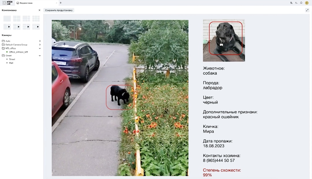 Искусственный интеллект помог найти более тысячи домашних животных в Подмосковье