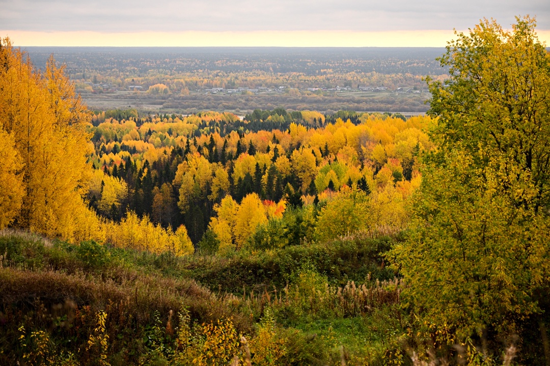Дмитрий Патрушев: До 2030 года на реализацию федерального проекта «Сохранение лесов» предусмотрен 71 млрд рублей.