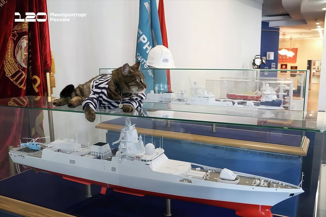На ОСК Северная верфь, где строят флагманы надводного флота, живёт кот Матрос