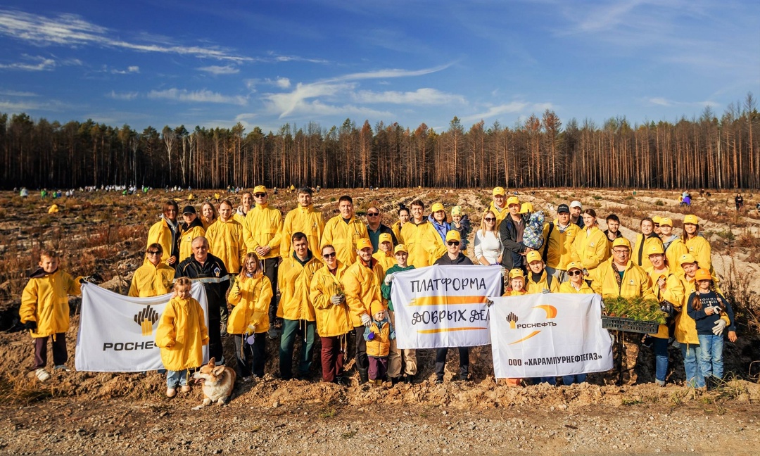 Зелёное будущее Почти 60 тысяч новых сосен и елей появились в Тюменской области благодаря волонтёрам «Роснефти».