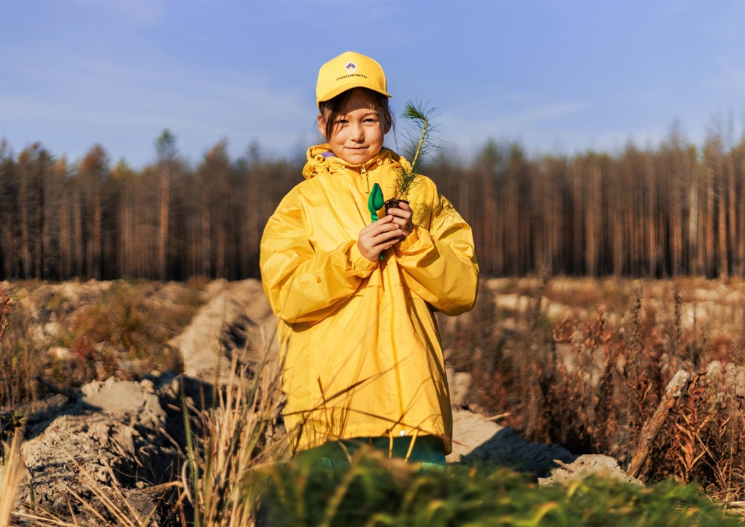 Зелёное будущее Почти 60 тысяч новых сосен и елей появились в Тюменской области благодаря волонтёрам «Роснефти».
