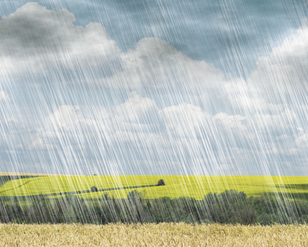 Минсельхоз Ставропольского края объявил тендер на выполнение в 2026 и 2027 годах работ «по активному воздействию с целью искусственного увеличения осадков» на…