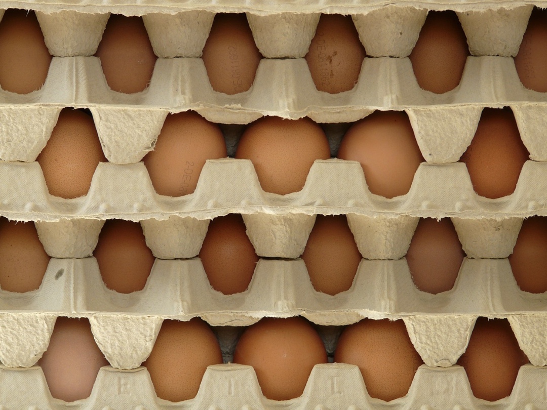 Компания «Белянка» (входит в группу «Лето») получила разрешение на строительство комплекса по производству куриного яйца в городском округе Кашира Московской…