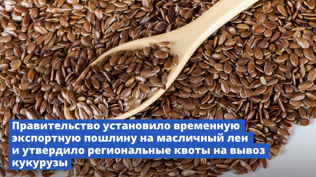 Правительство установило временную экспортную пошлину на масличный лен и утвердило региональные квоты на вывоз кукурузы.