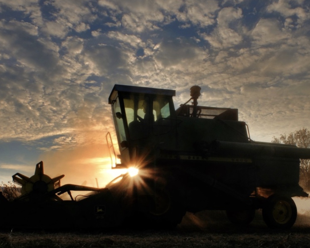 Самое интересное за неделю с 29 сентября по 5 октября