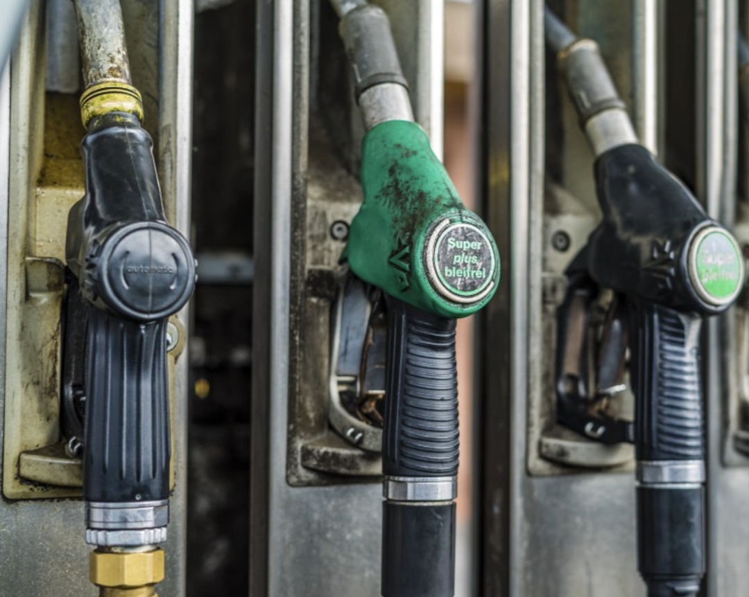 На этой неделе ассоциация «Народный фермер» сообщила в своем Телеграм-канале, что, согласно ее мониторингу, за последние несколько недель оптовые цены на…