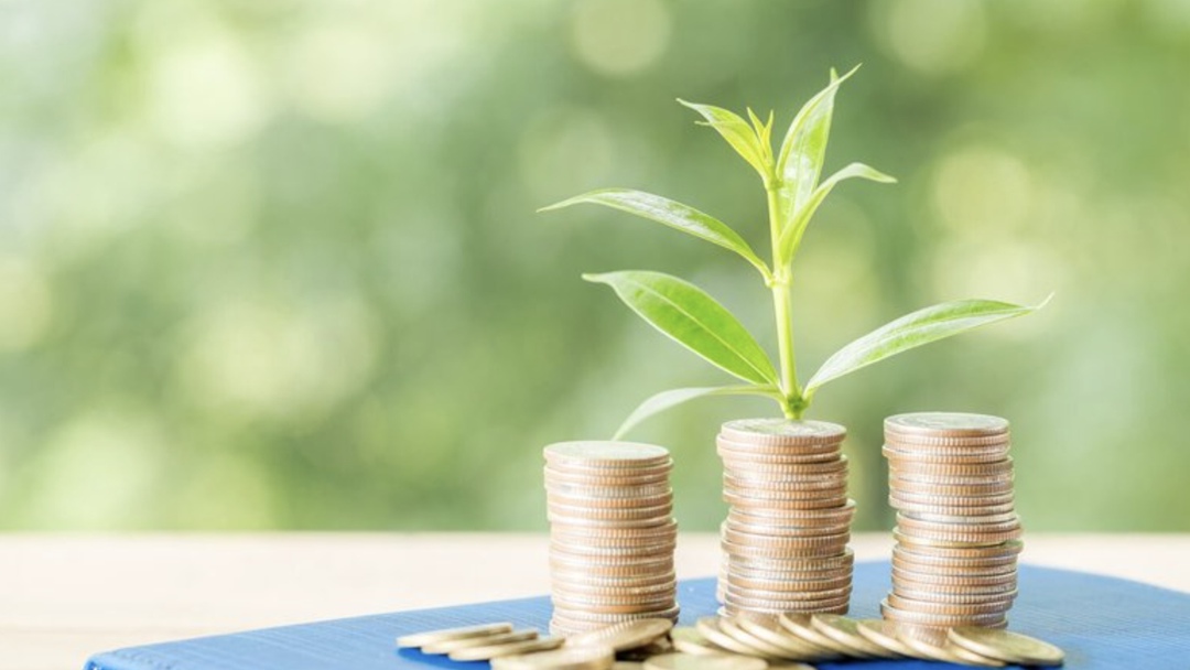 На прошедшем в правительстве совещании по теме расширенной ответственности производителей (РОП) вице-премьер Дмитрий Патрушев выступил против повышения базовых…