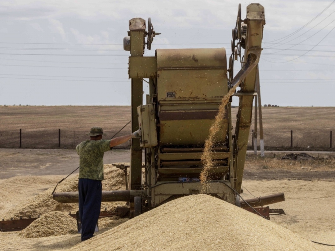 В этом году урожайность зерновых на 10% больше, чем в прошлом, что позволяет сохранять прогноз валового сбора на уровне 135 млн т, сказал вице-премьер Дмитрий…