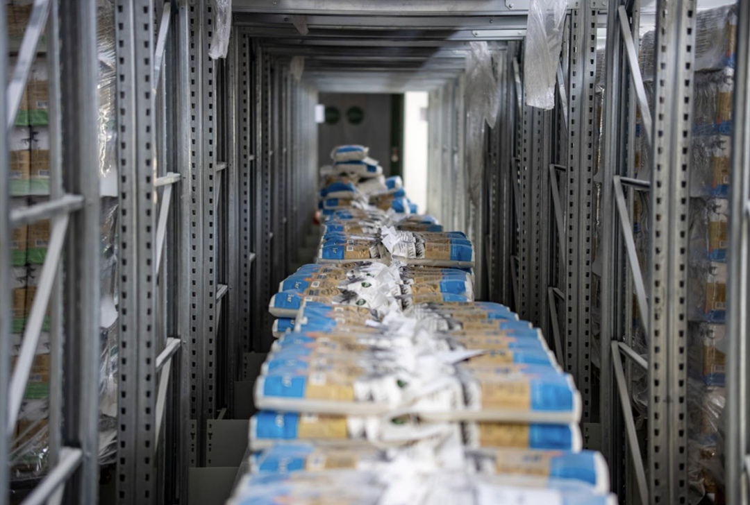 Группа компаний «Прогресс Агро» (Краснодарский край) продолжает наращивать экспорт муки, одним из ключевых направлений поставок остается Китай, сообщили…