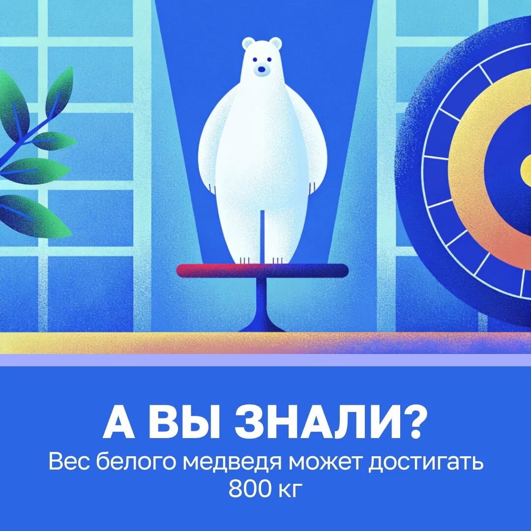 Бегает полярный мишка со скоростью до 40 км/ч