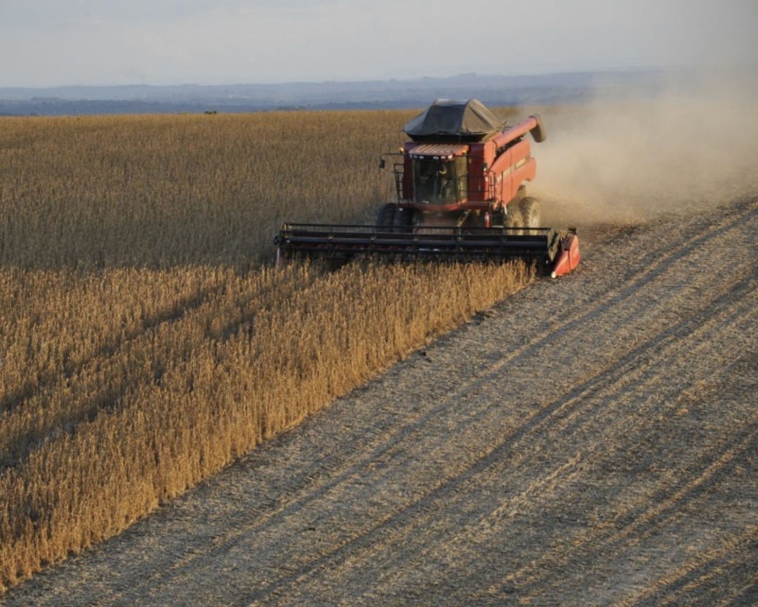 По состоянию на начало октября соя убрана на 1,8 млн га - 39% от ее общей посевной площади, сообщил аналитический центр Ruseed. Валовой сбор достиг 4 млн т,…