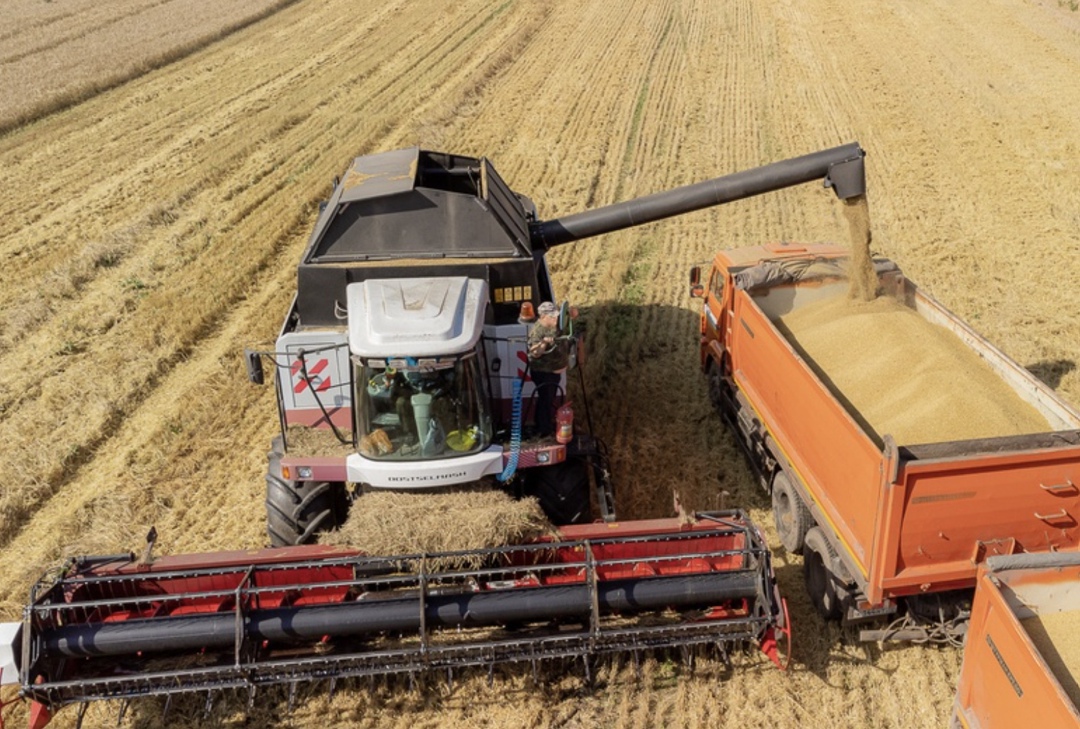 Аграрии Омской области, несмотря на переувлажнение почвы и раннее похолодание, рассчитывают собрать рекордный урожай зерновых - более 4 млн т, сообщил ТАСС…