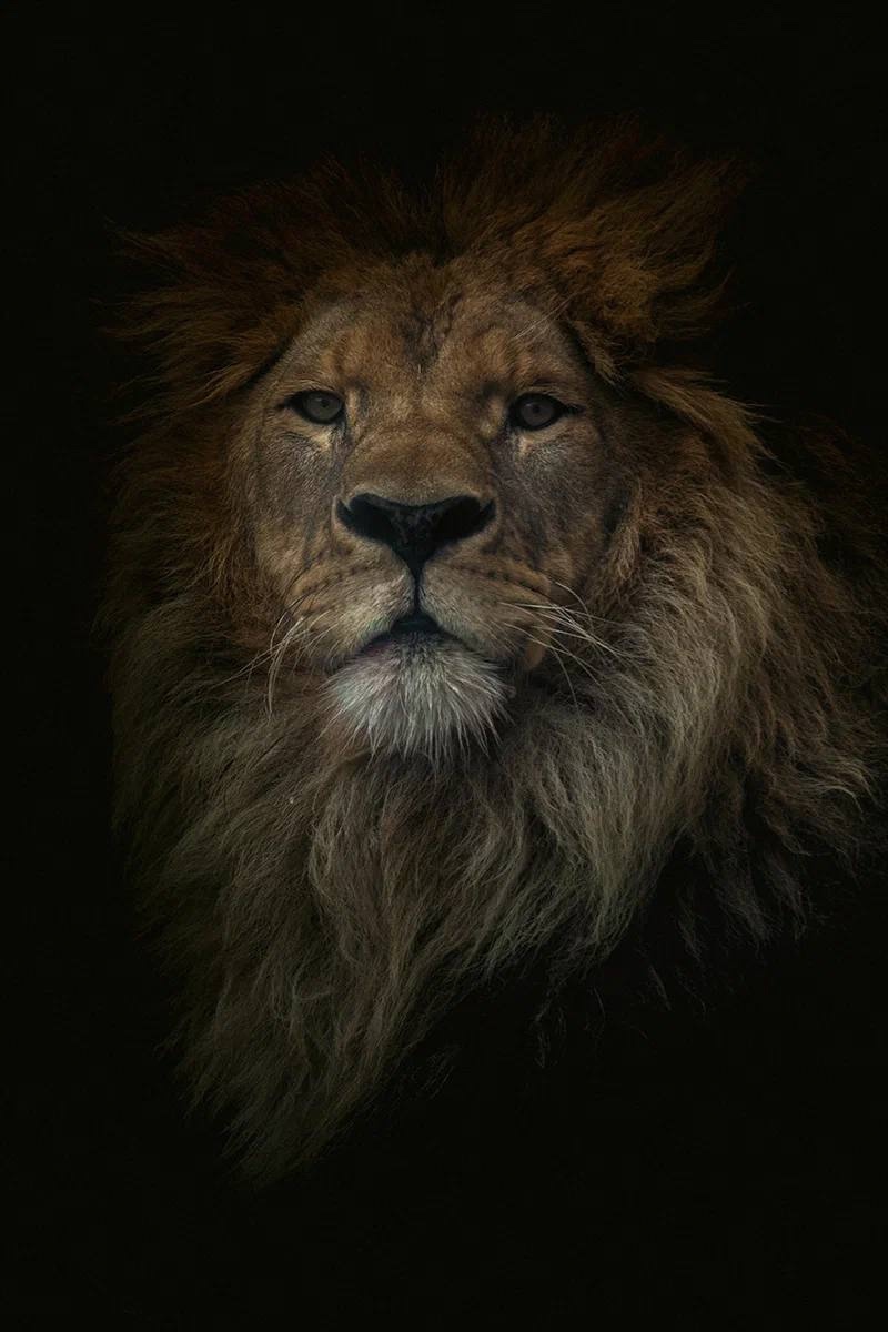 Дикая красота Александр Чазов с Пермского НПЗ на работе виртуозно управляет технологическими установками, а в свободное время превращает реальность в…