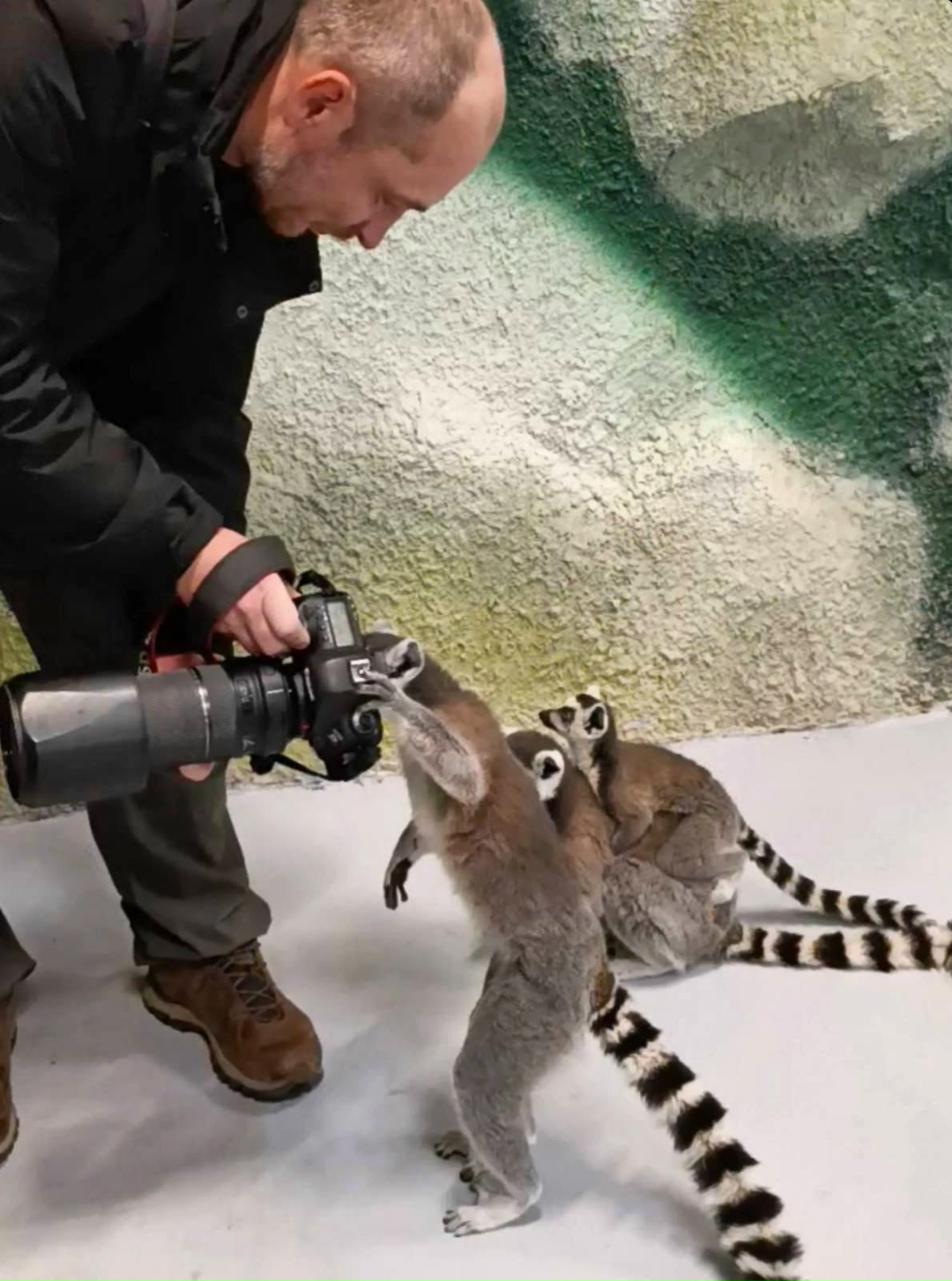 Дикая красота Александр Чазов с Пермского НПЗ на работе виртуозно управляет технологическими установками, а в свободное время превращает реальность в…