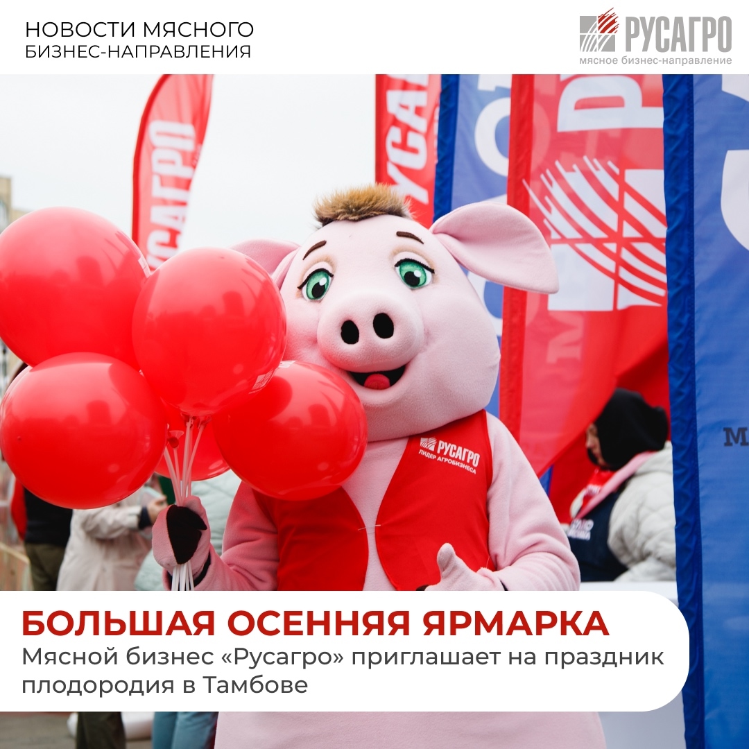 Большая осенняя ярмарка пройдет в Тамбове уже в эти выходные