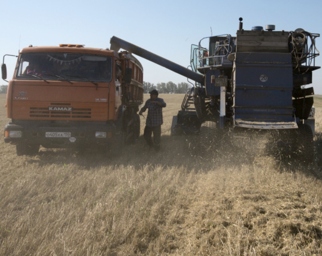 Урожай зерновых достиг 130 млн т в бункерном весе, осталось убрать около 10% площадей, сказала министр сельского хозяйства Оксана Лут в ходе оперативного…