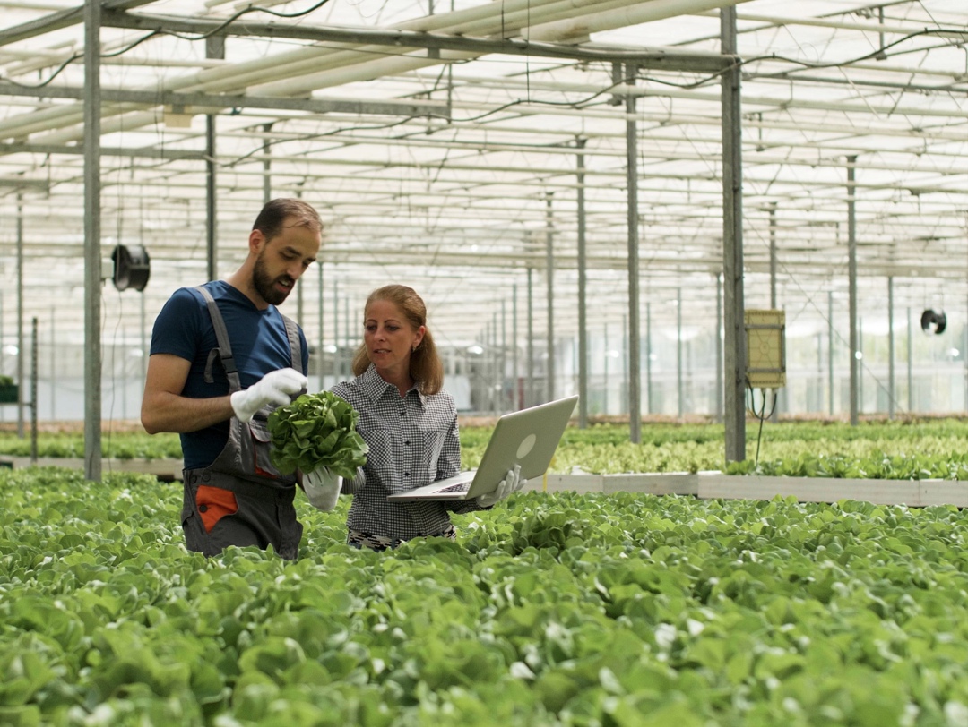 На круглом столе «Кадры для АПК: текущее состояние и перспективы» в ходе выставки «Золотая осень» Россельхозбанк (РСХБ) представил аналитику о кадровом…