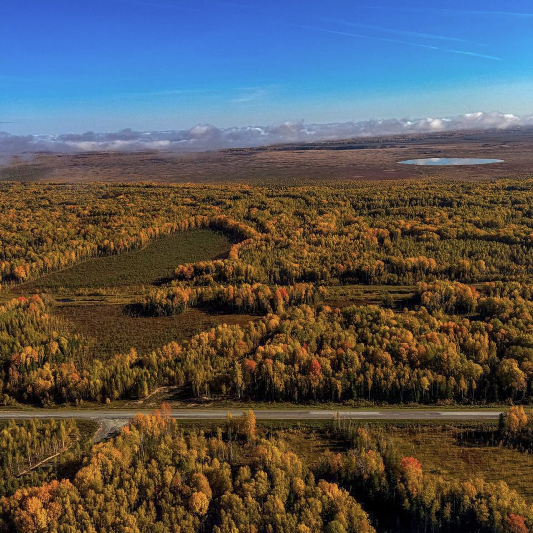Золотая осень на Севере скоротечна, оттого еще более ценна