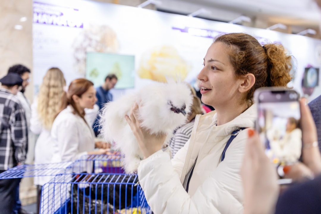 Дмитрий Чернышенко направил приветствие участникам фестиваля «Наука 0+»