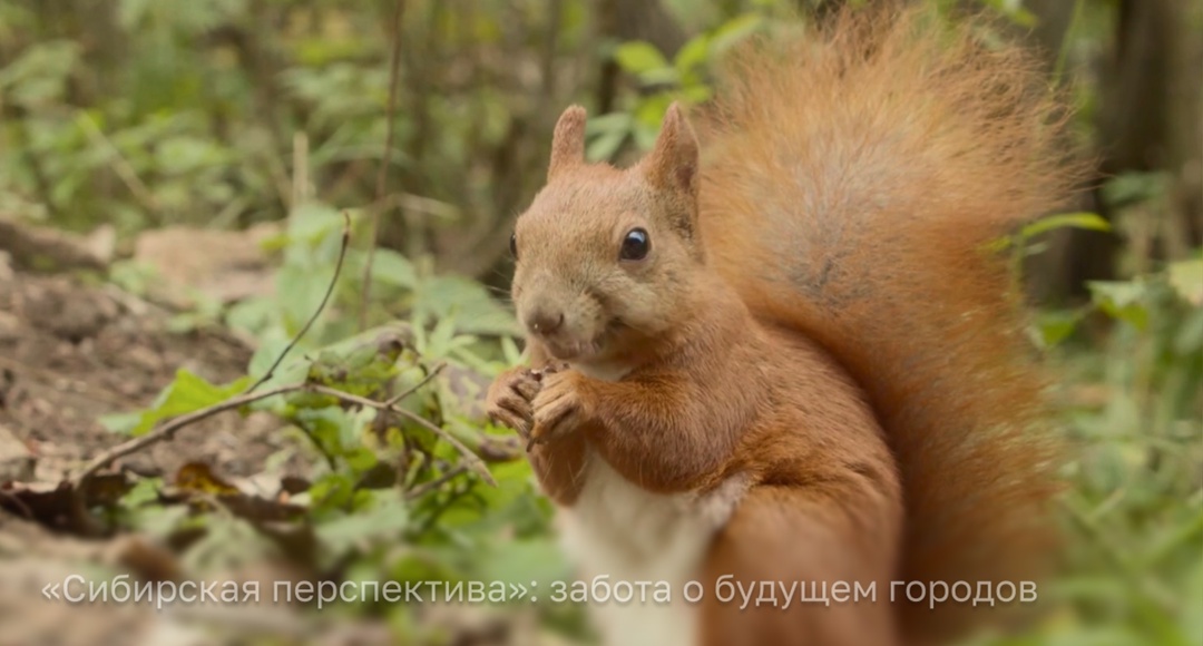 «Норникель» — в числе лучших документалистов горнодобывающей отрасли