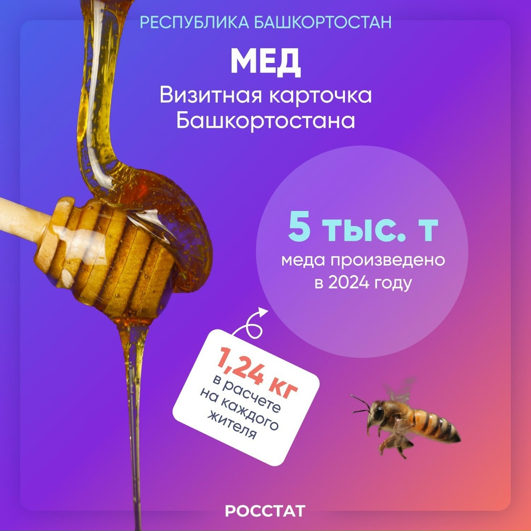 11 октября — День Республики Башкортостан!