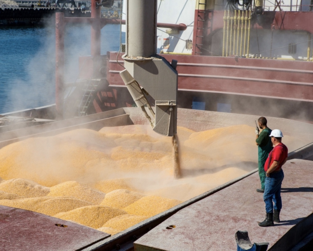 Самое интересное за неделю с 6 по 12 октября
На прошедшей неделе урожай зерна достиг 130 млн тонн, Минсельхоз оценил обеспеченность семенами, Минцифры –…