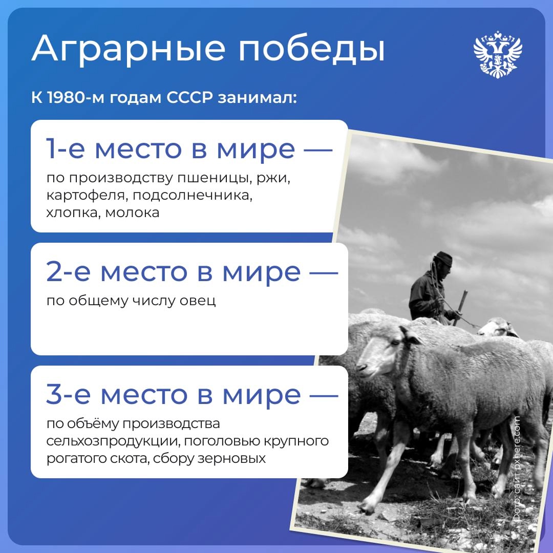 «Будет добрым год-хлебород» — для СССР это были не просто слова, а план-минимум на каждый сельскохозяйственный сезон