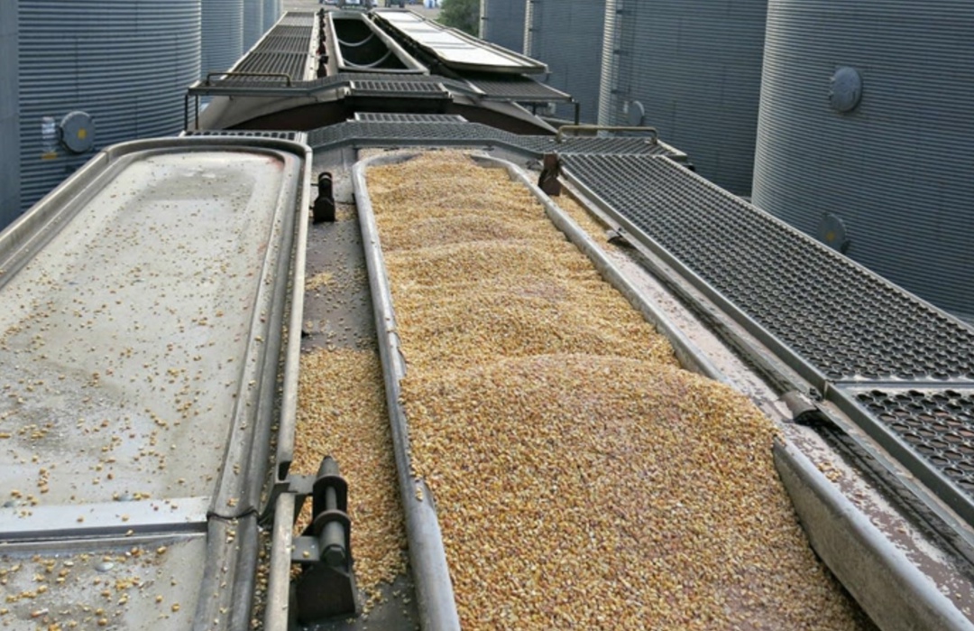 ГК «Октябрьское» начинает строительство элеватора с железнодорожной отгрузкой на станции Селезни в Тамбовской области. Проект реализуется совместно с…