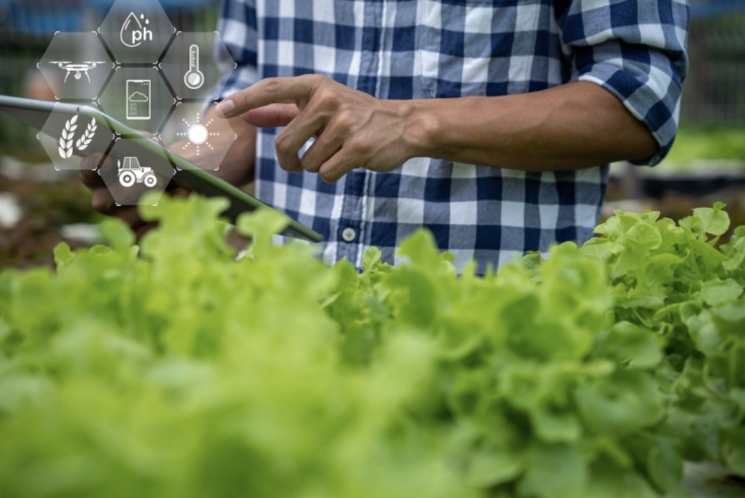 Работа федеральных государственных информационных систем (ФГИС) вызывает немало критики и вопросов со стороны аграриев