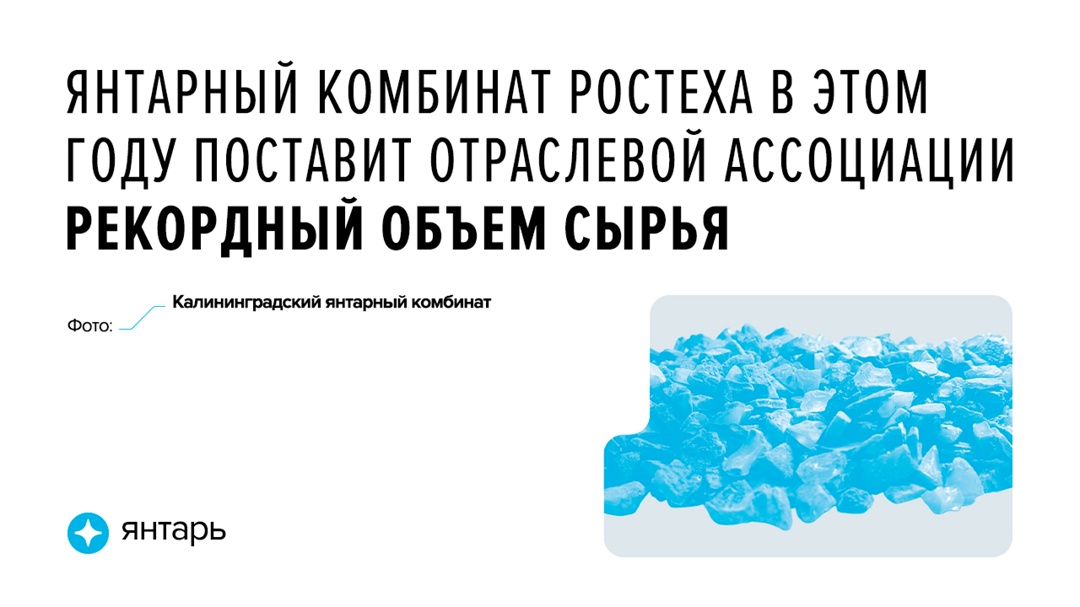 Объем отгруженного за год камня достигнет 26 тонн, в том числе 2 тонны крупного янтаря