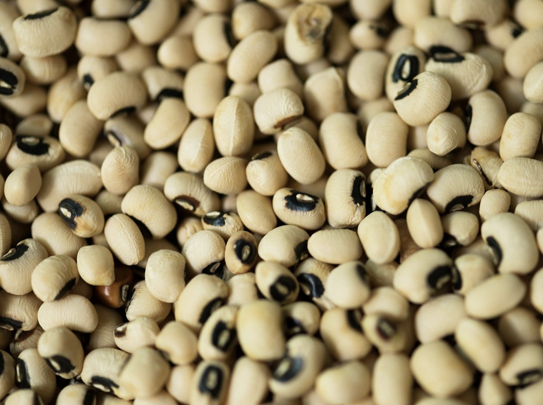 По оценкам Института конъюнктуры аграрного рынка (ИКАР), урожай сои в европейской части России (здесь и далее без учета новых регионов) в 2025 году может стать…