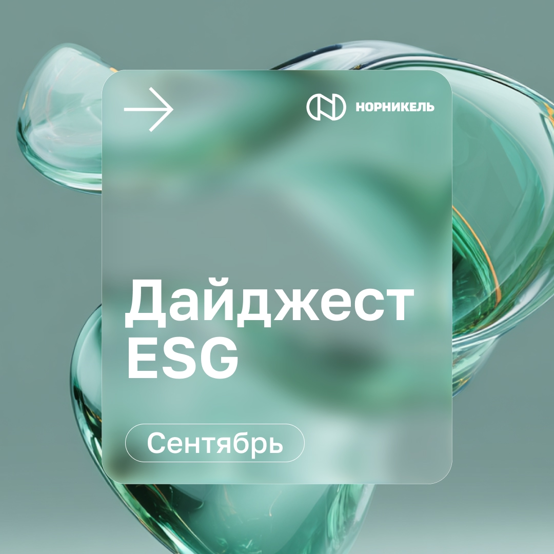 Безопасность, флора и фристайл — в новом дайджесте устойчивого развития