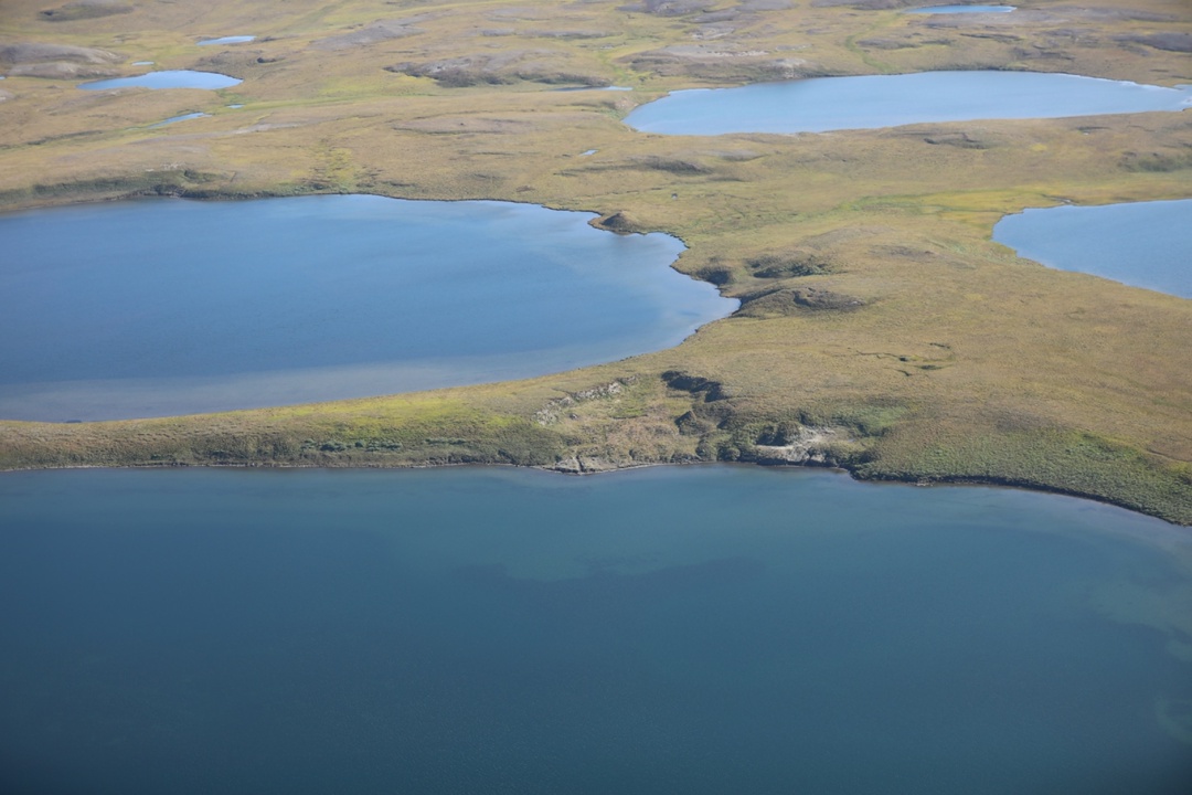 Богатство северных рек Учёные «Роснефти» завершили первый этап программы по изучению ценных видов рыб Таймыра в рамках проекта «Тамура».